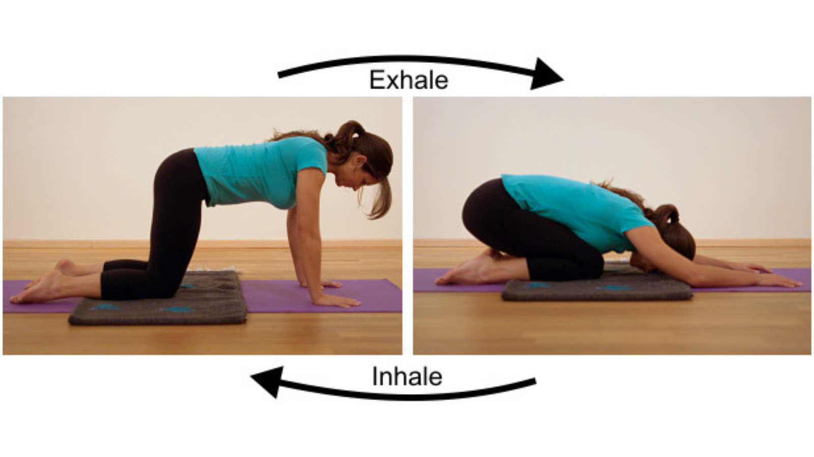 w to experience the benefits of Cat yoga Pose (Chakravakasana) for the spine and back