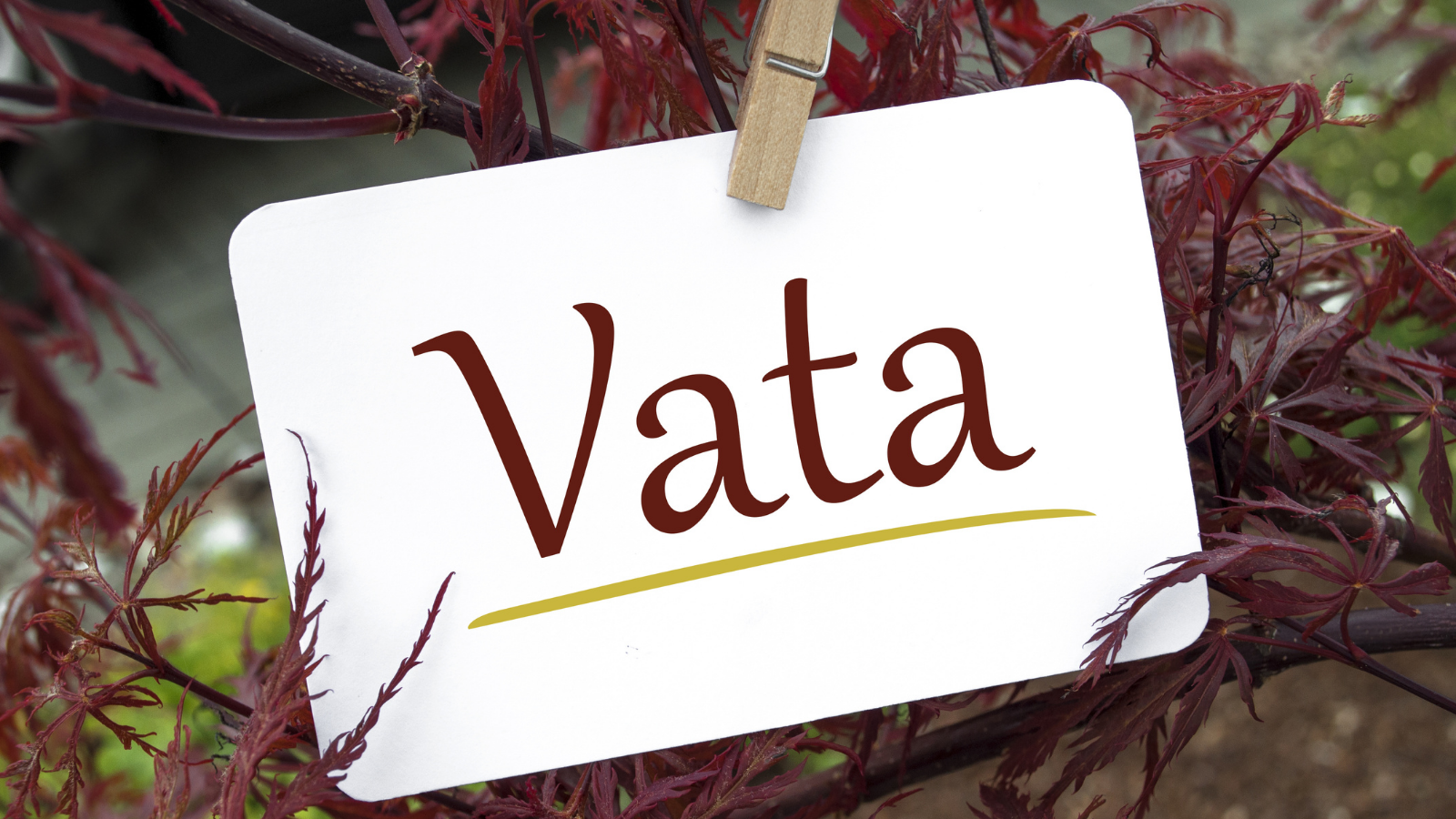 Graphic depicting Vata one of the Ayurvedic Doshas
