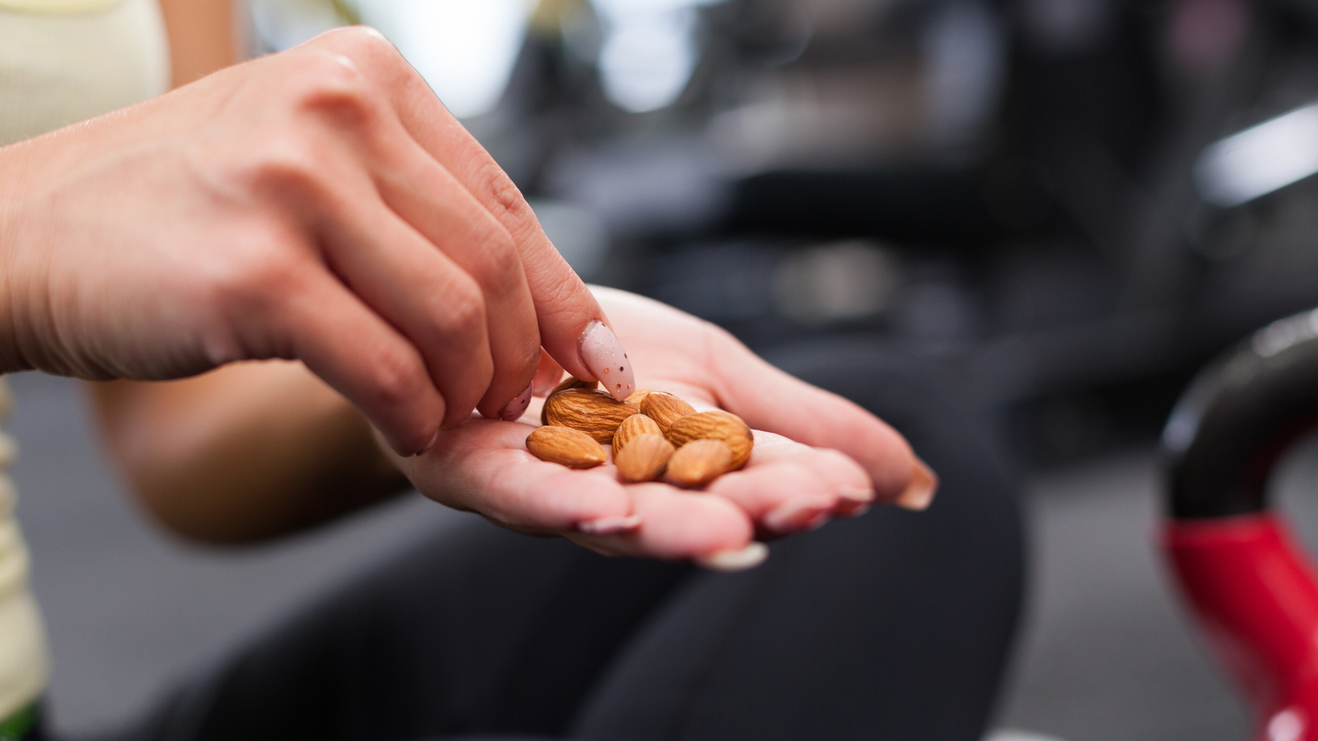 Close up of hand holding almonds.