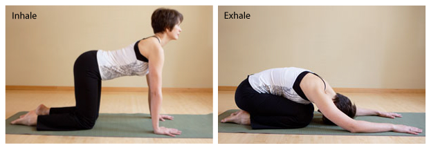 Chakravakasana, combines Bitilasana ( Cow Pose) and Balasana (Child's Pose)
