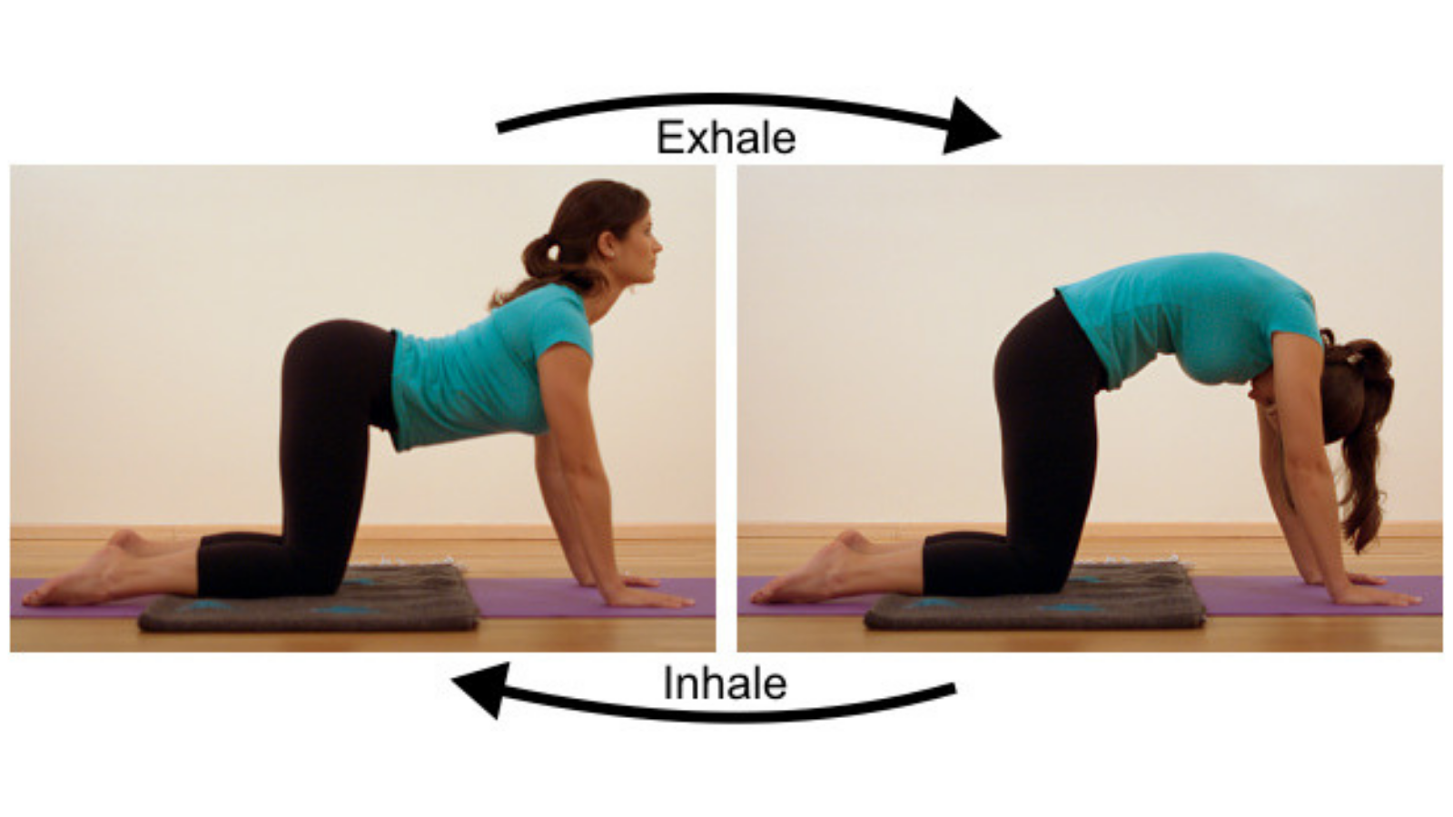 How to practice Cat-Cow yoga Pose (Marjaryasana-Bitilasana)
