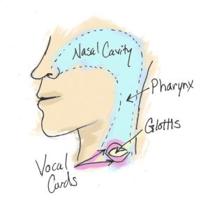 Ujjayi breath, Psychic Breath, Restrict Glottis, ocean-like breath, yoga breathing for improved health Ujjayi breath, Psychic Breath, Restrict Glottis, ocean-like breath, yoga breathing for improved health