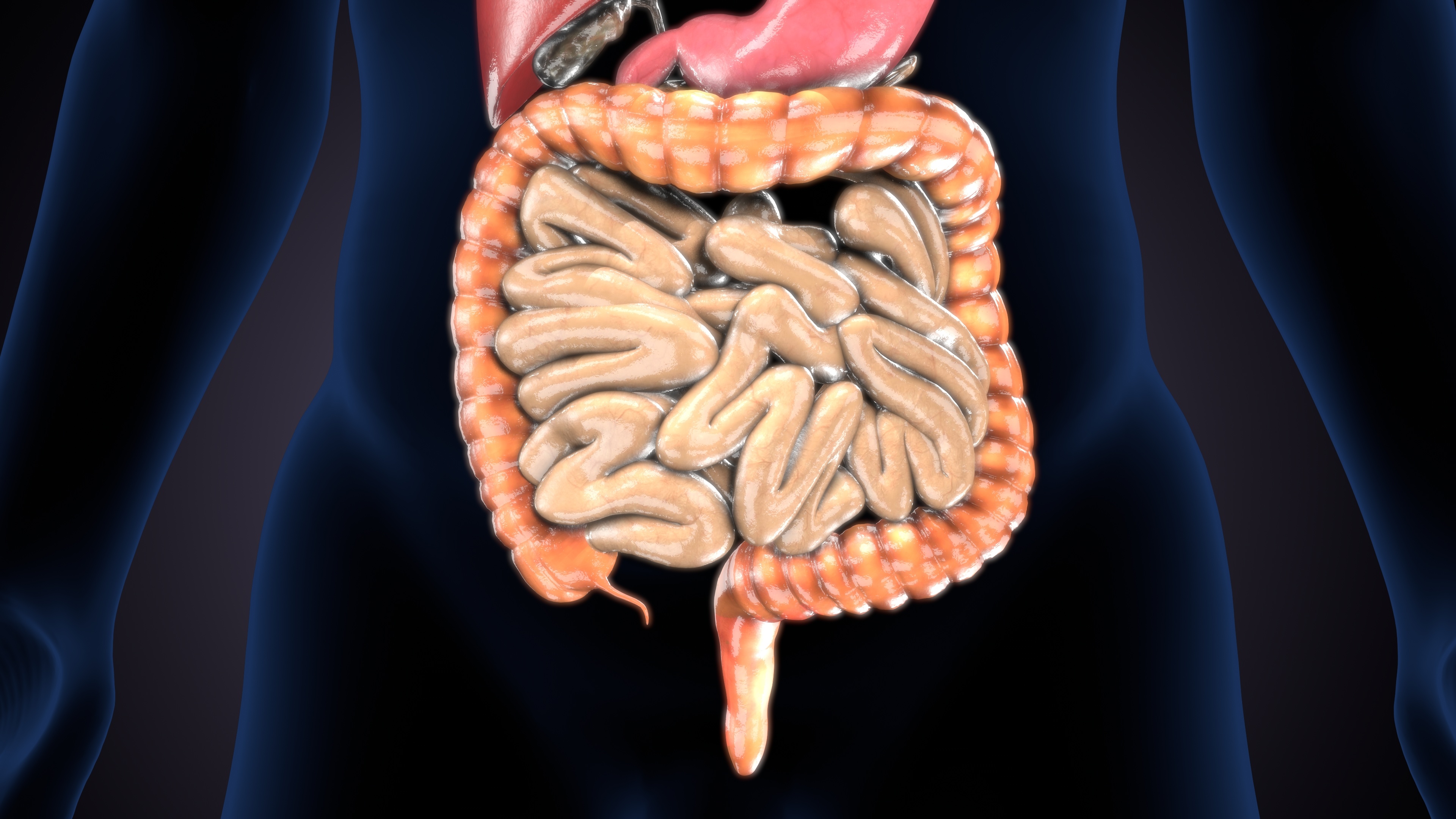 Digestive Health, Digestion anatomy, Constipation, yoga for better digestion, twists in yoga, asana poses for better digestion Digestive Health, Digestion anatomy, Constipation, yoga for better digestion, twists in yoga, asana poses for better digestion