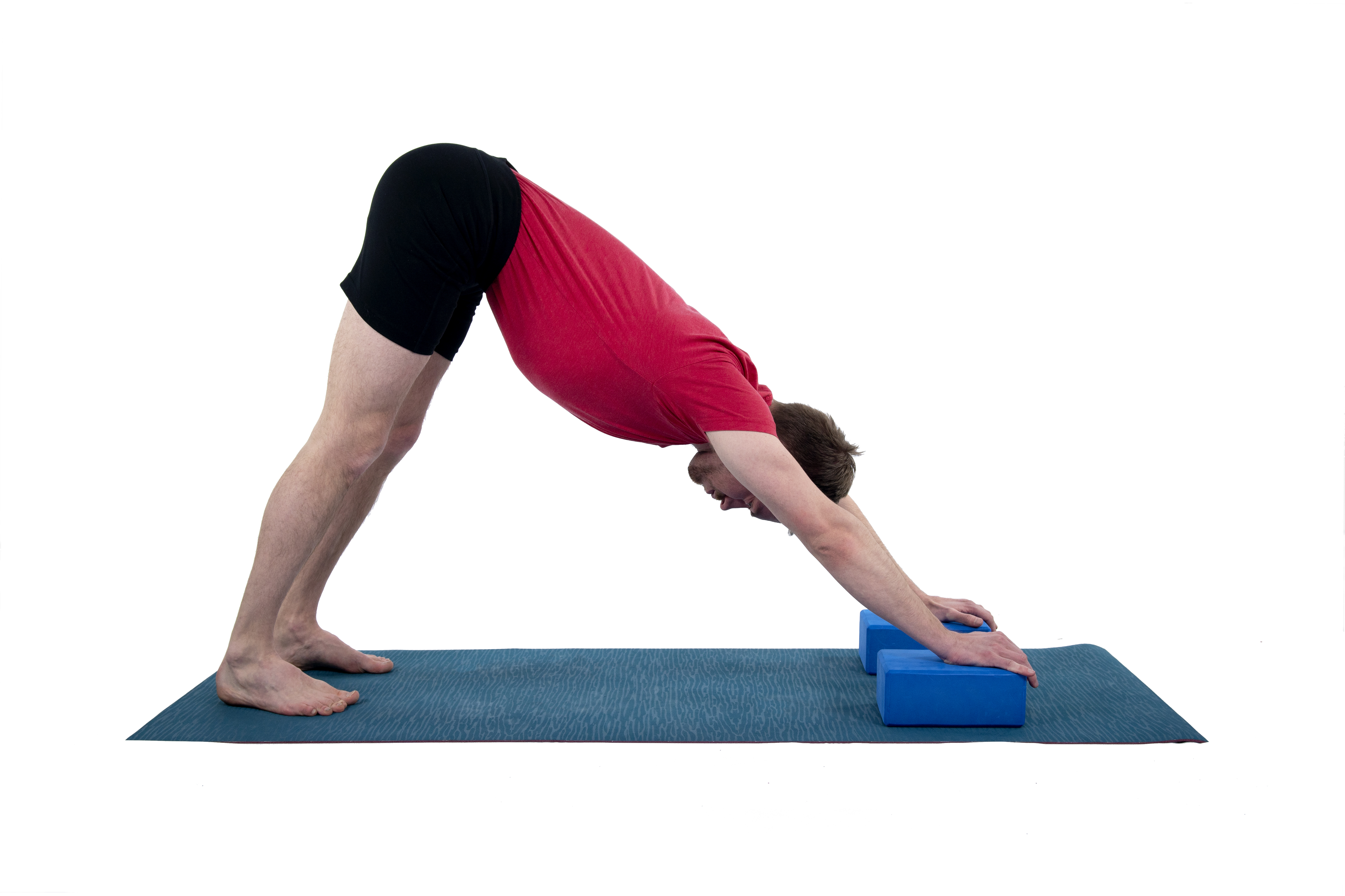 Adho Mukha Svanasana, downward facing dog, inversion, variation with blocks, yoga for flat feet