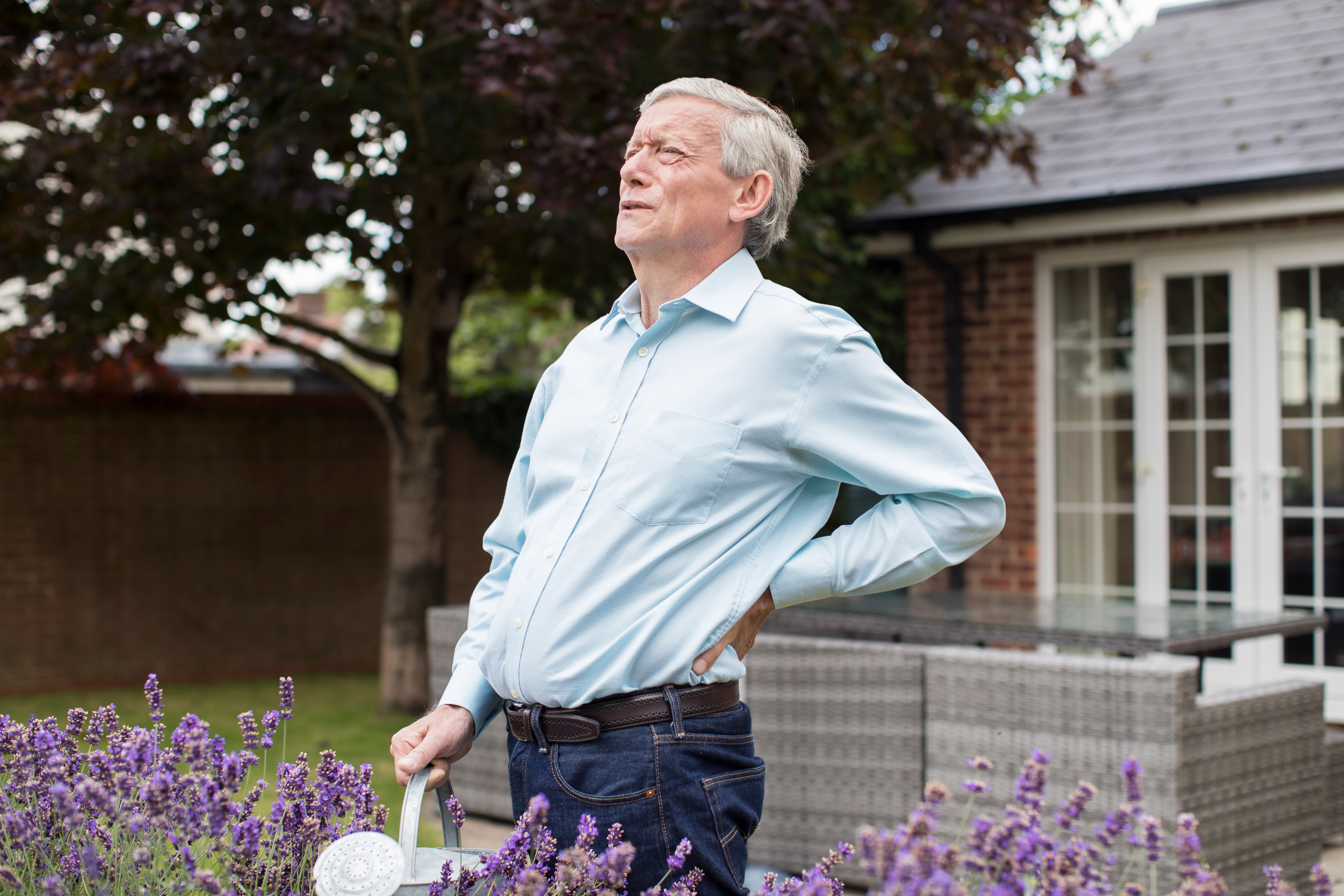 gardener, backache, how to self regulate and adapt to activity, yoga as tool for adaptation