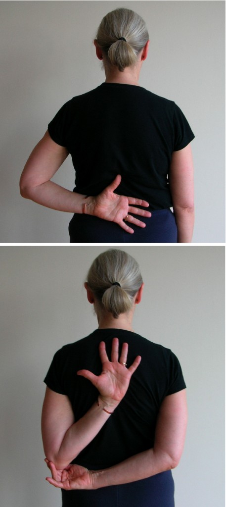 Gomukhasana, Cow-Face Pose, variations of the pose, using a strap to help with the pose Gomukhasana, Cow-Face Pose, variations of the pose, using a strap to help with the pose
