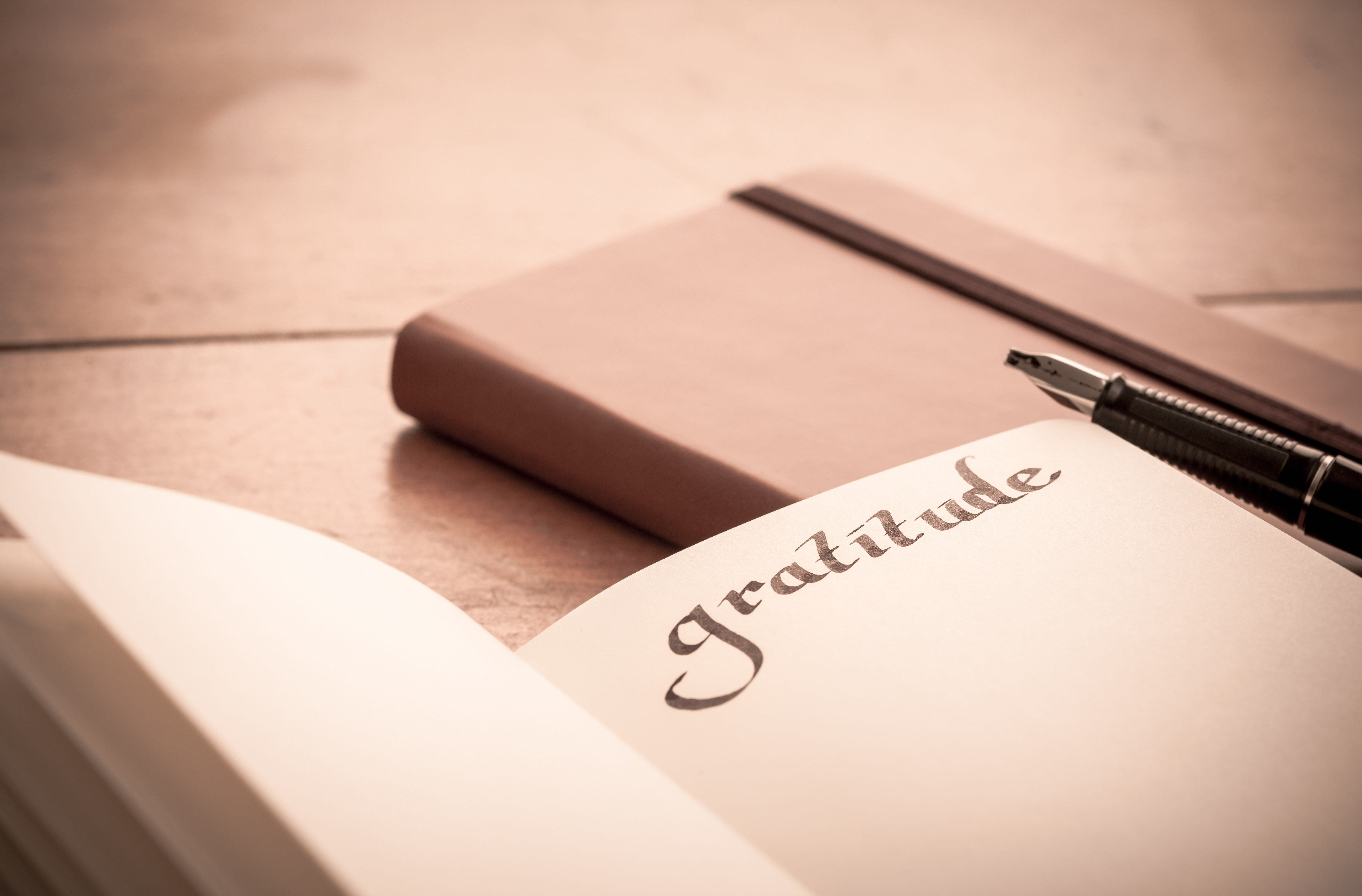 Gratitude journal, blessings small and large, reflections on what we have vs. what we don't have, giving thanks