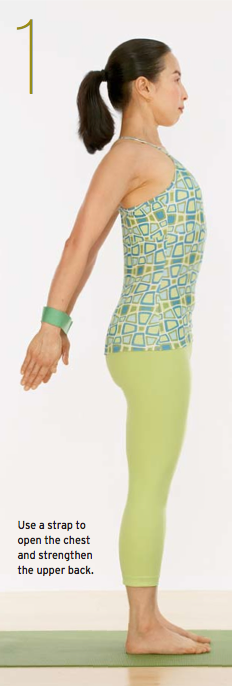 Salabhasana, Locust Pose, spine lengthening pose, core strengthening pose, chest opening prep for Locust Pose