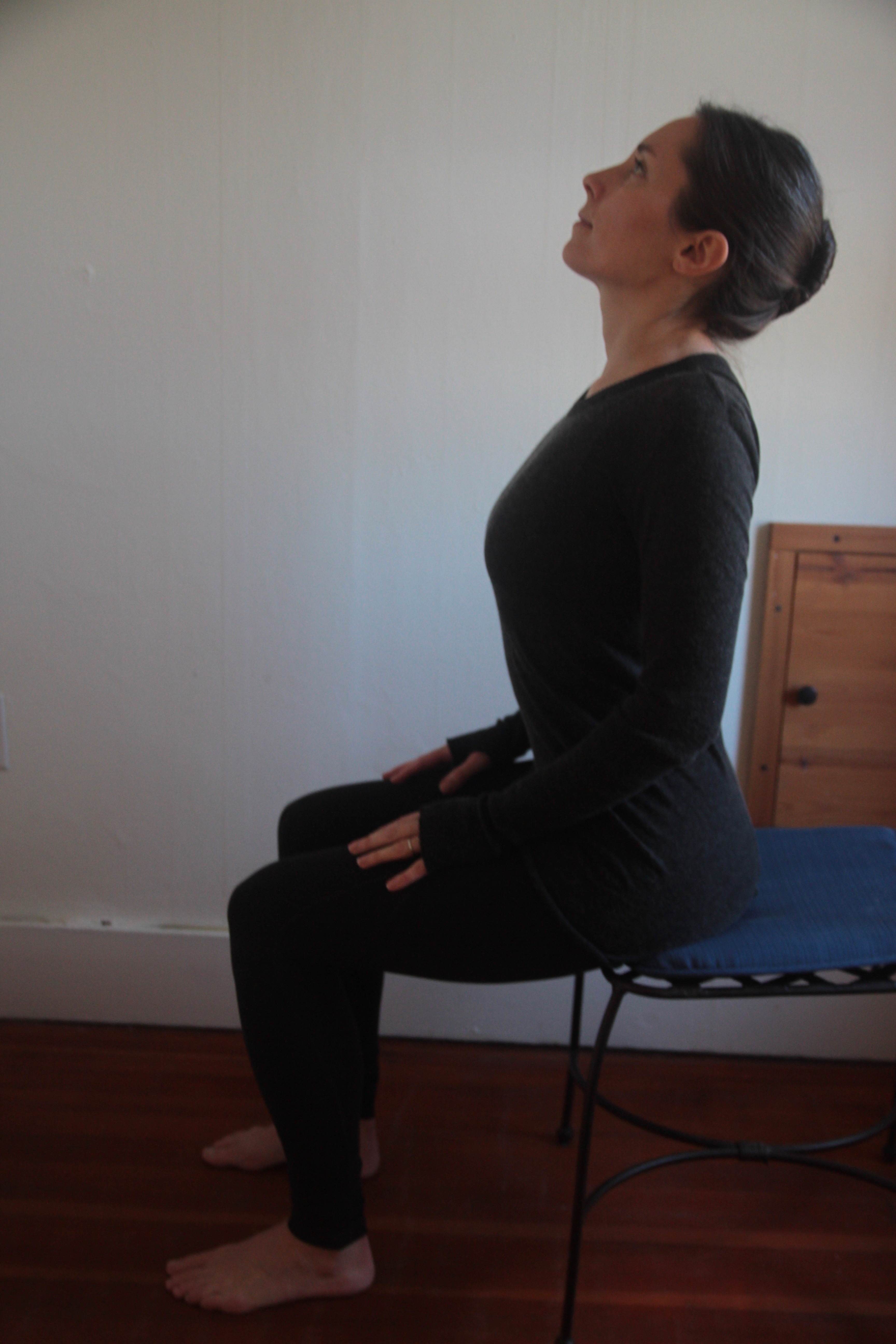 Marjarasana-Bitilasana, cat-cow pose, seated version, posture improvement, yoga pose variation, beginner's yoga