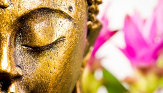 Yoga as a Psychospiritual Practice, Judith Hanson Lasater