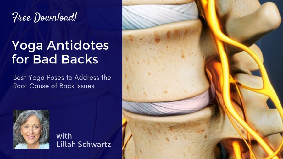 Yoga for a Healthy Back, healthy spine, back health