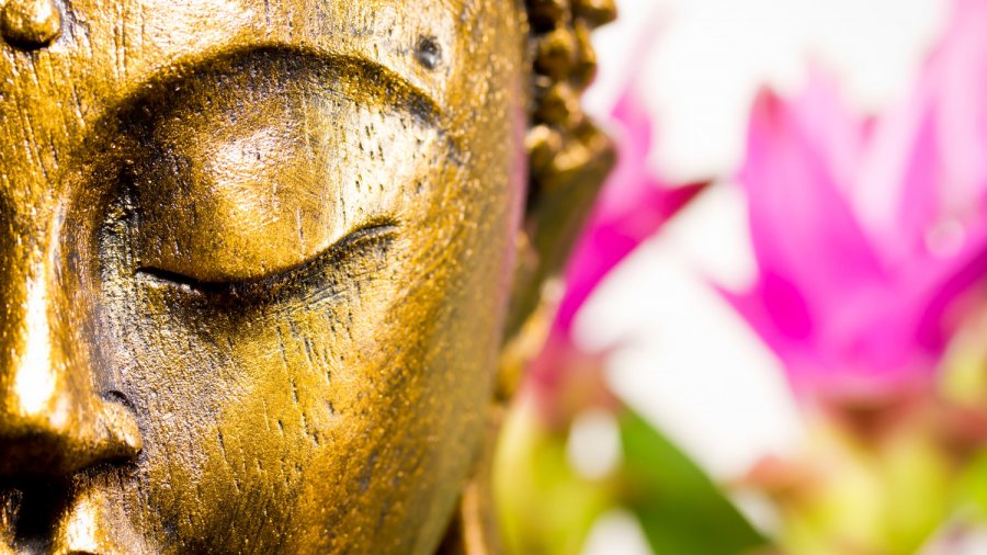 Yoga as a Psychospiritual Practice, Judith Hanson Lasater