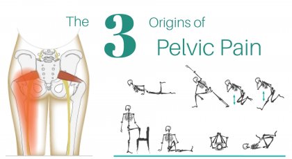 diagram of pelvic pain (pain in the butt) and yoga moves you can do to stretch the area 
