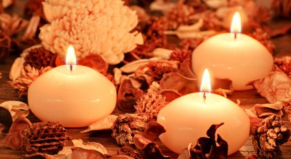 Yoga and Wellness News Yoga and Wellness News