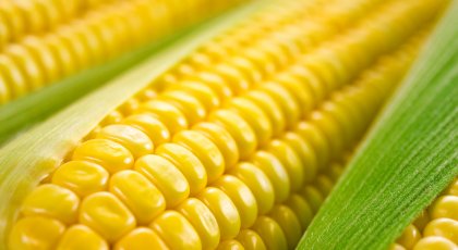 High Fructose Syrup May Increase Cancer Risk
