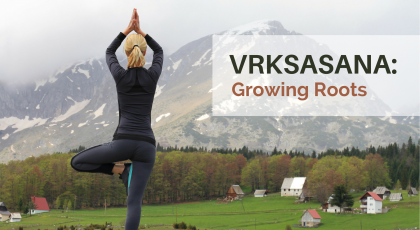 vrksasana, tree pose