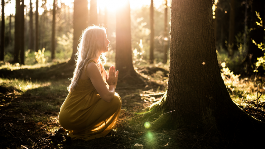 How to understand the Chakra connections and learning from them Chakras can help us become more connected to our selves, how to understand and release past traumas