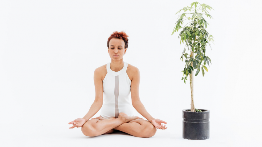 young woman with eyes closed sitting in lotus pose near the tree in pot beginner yoga student practice lotus pose in yoga to reduce stress and anxiety