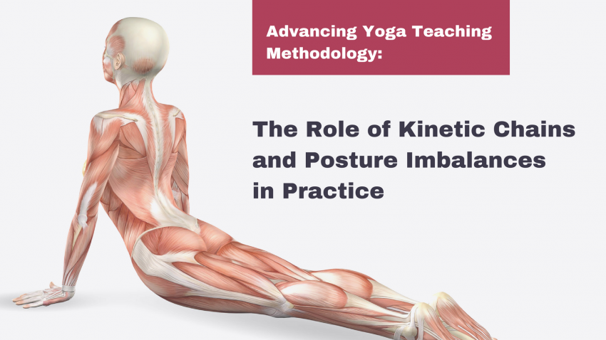 yoga anatomy picture of person in Upward Facing Dog pose (Urdhva mukha svanasana)