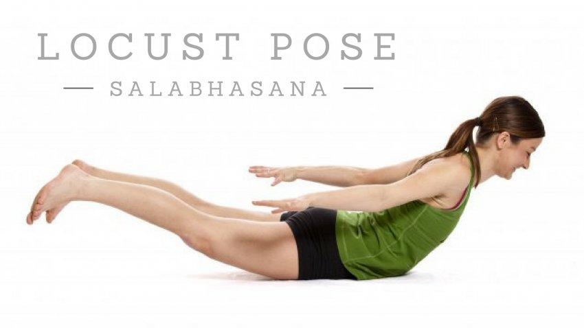 Locust pose - Shalabhasana locust pose(Salabhasan) backbend, pectoral muscles stabilizing stretch posture