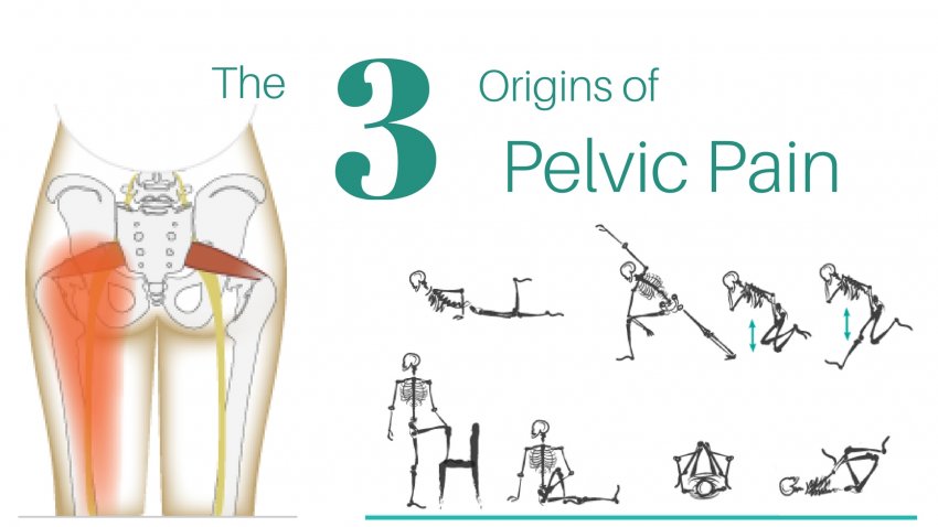 An anatomical diagram of the origin of pelvic pain (a literal pain in the butt) and several yoga moves you can do to stretch the area diagram of pelvic pain (pain in the butt) and yoga moves you can do to stretch the area