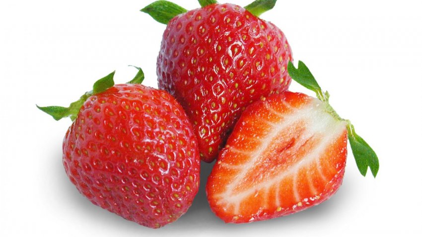 Yoga and Wellness News Yoga and Wellness News