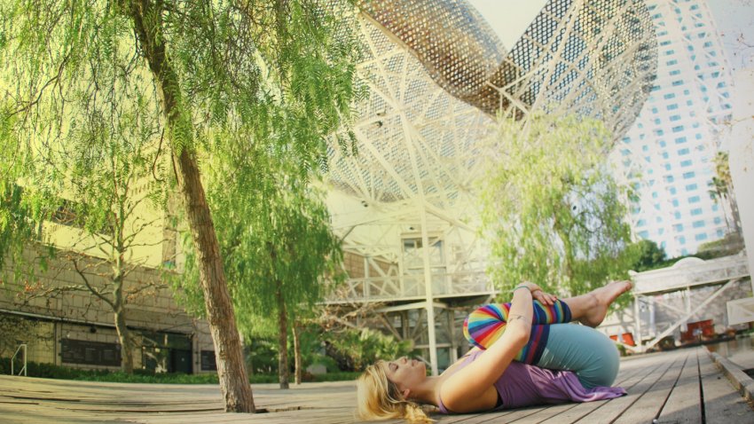 brain and neuroplasticity