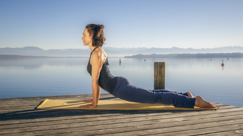 woman practicing yoga protecting her elbow complex in upward facing dog pose, Urdhva mukha svanasana woman practicing yoga protecting her elbow complex in upward facing dog pose, Urdhva mukha svanasana