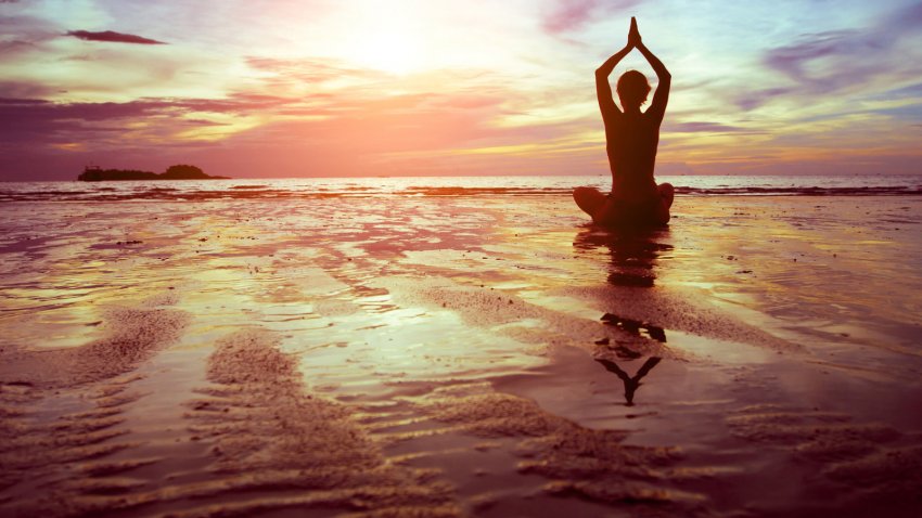 Yoga and Wellness News