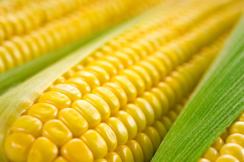 High Fructose Syrup May Increase Cancer Risk High Fructose Syrup May Increase Cancer Risk