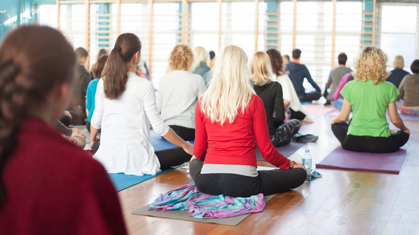 Yoga and Wellness News