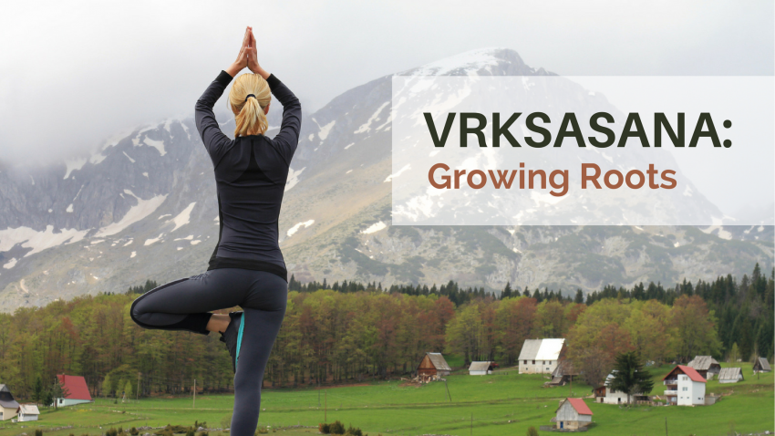 vrksasana, tree pose