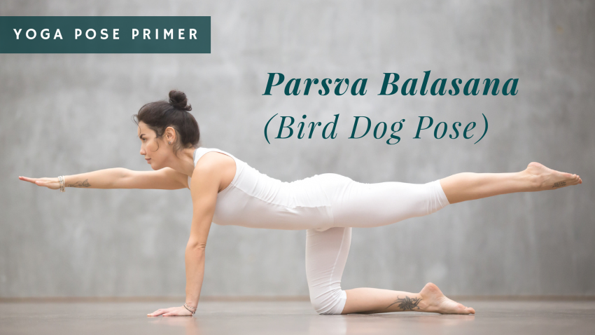 Parsva Balasana, Bird Dog Pose